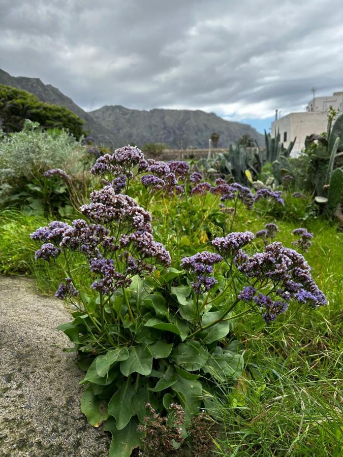 Aventura En Buenavista Del Norte Exteriör bild